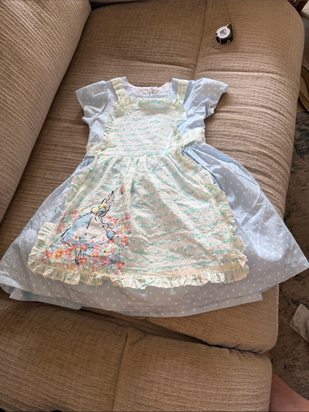 Disney Pippen and youJuli Alice in Wonderland bib front dress size 2T